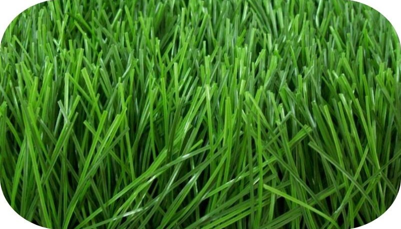 Grama Sintética para Futebol Monofilamento em Santa Cruz do Sul